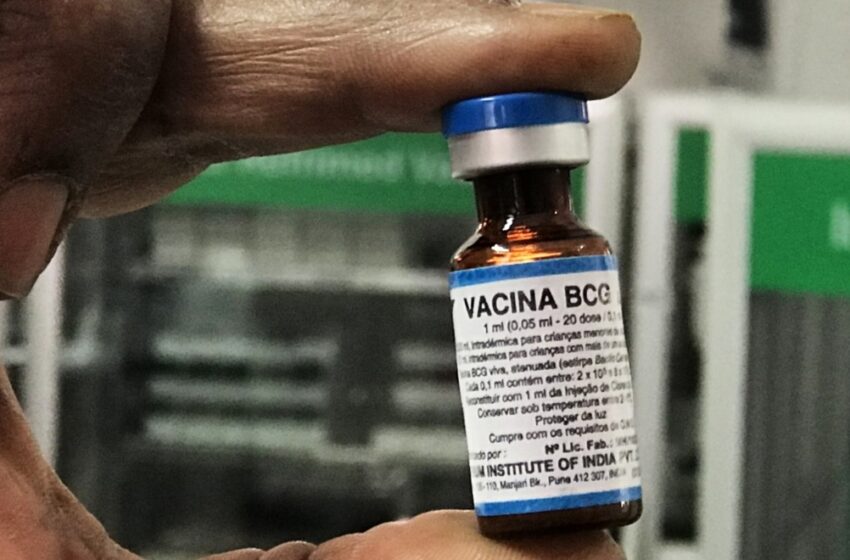  Aplicação da vacina BCG normalizada em Feira de Santana