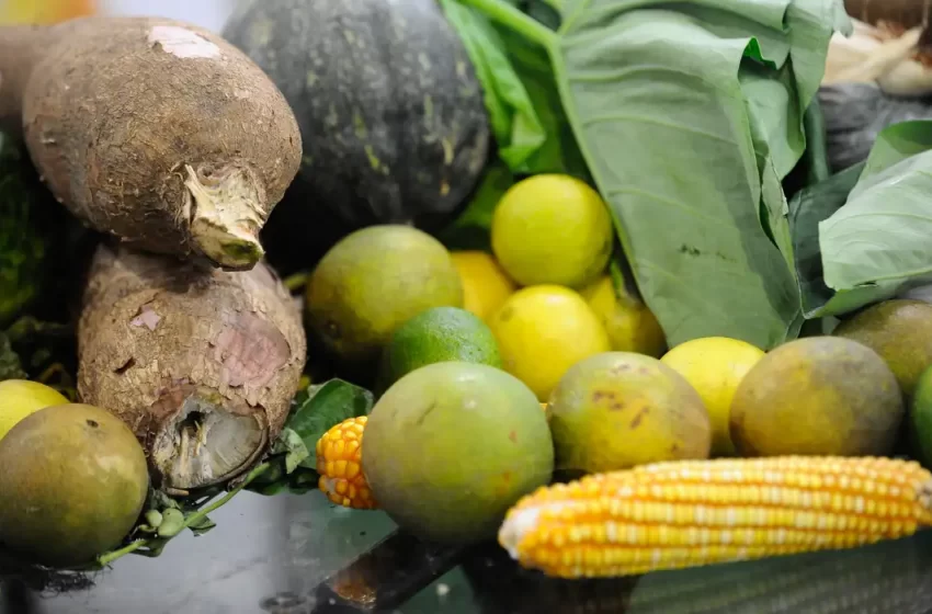  Agrotóxicos: 25% dos alimentos de origem vegetal no país têm resíduos